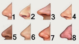 Illustration : "The shape of your nose can say a lot about your personality... Here's what you need to know!"