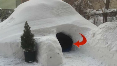 Illustration : "He built an igloo and put it up for rent on Airbnb... They deleted the ad and sent him a funny message!"