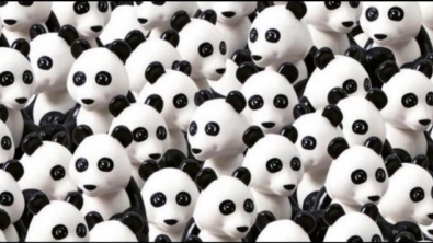 Illustration : "It took me more than 30 seconds to find the dog hidden in the middle of these pandas. What about you?"