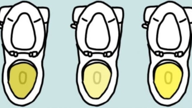 Illustration : "The color of your urine says a lot about your health...Here's what you need to know:"