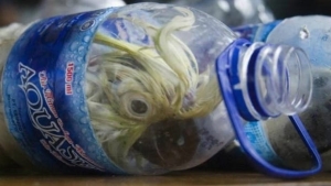 Illustration : "Customs officers were puzzled when they heard noises coming from these bottles... seeing eyes inside, they quickly grabbed their scissors!"