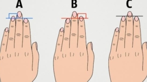 Illustration : "A, B, or C? Look at what they say about the length of your fingers and let us know if it’s true or not!"