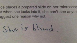 Illustration : "16 gems written on tests by students who didn’t know the right answer"