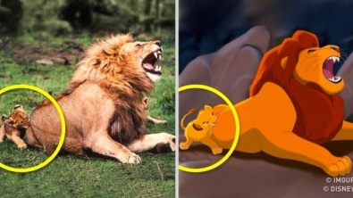 Illustration : "14 living look-alikes of our favorite Disney characters"