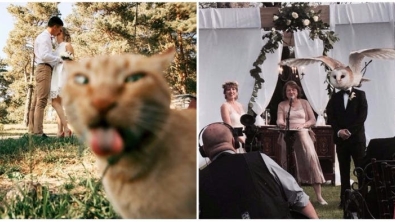 Illustration : "20 hilarious wedding photobombs that crowned the newlyweds' special day"