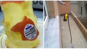 Illustration : "19 people who mastered the art of laziness"