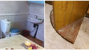 Illustration : "25 startling repair and design fails"