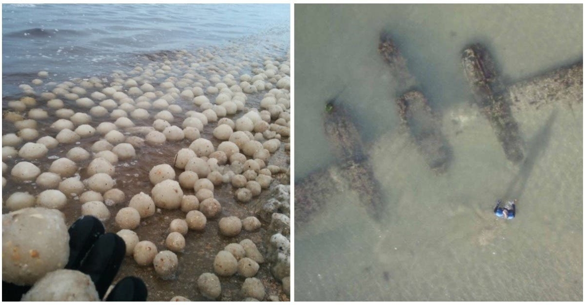 14 weird sights spotted on beaches around the globe