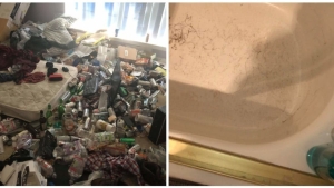 Illustration : "22 photos that show the reality of living with a roommate"