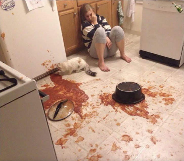 Illustration de l'article : 14 people who immortalized their terrible day