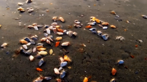 Illustration de l'article : 26 things we'd like to see at least once in our lives