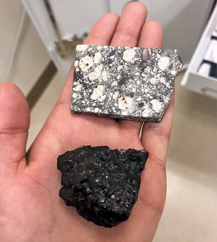 Illustration de l'article : 12 touching photos that give food for thought