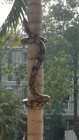 Illustration de l'article : 24 photos of unusual things spotted around the world