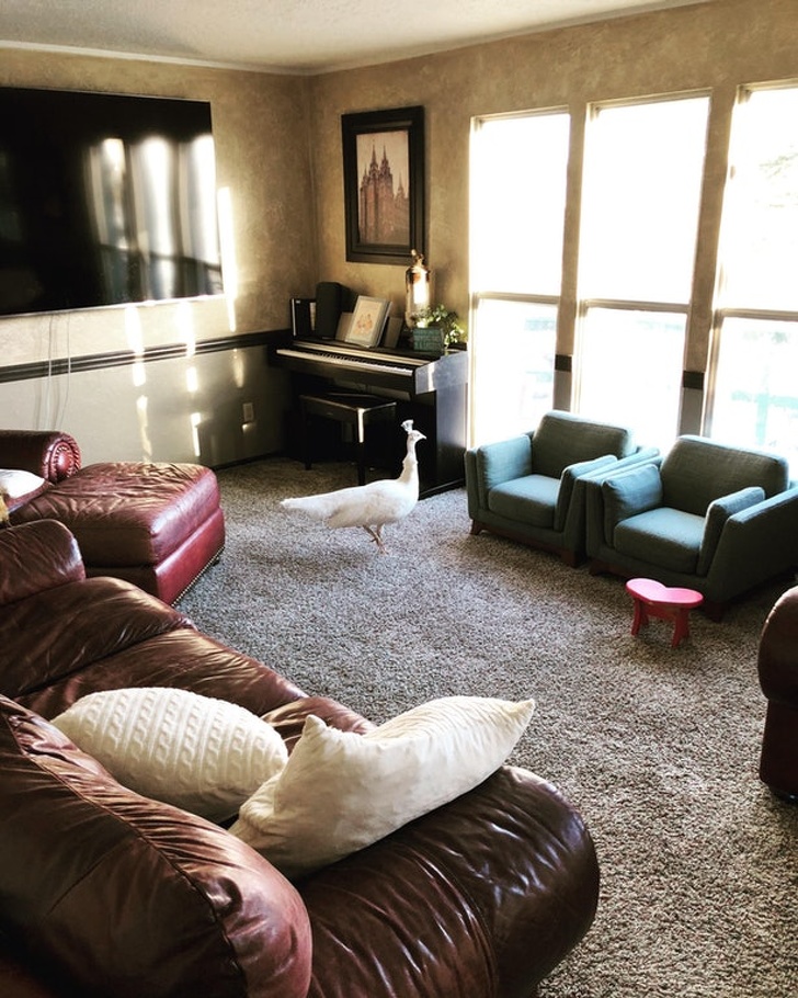 Illustration de l'article : 14 people who immortalized their terrible day