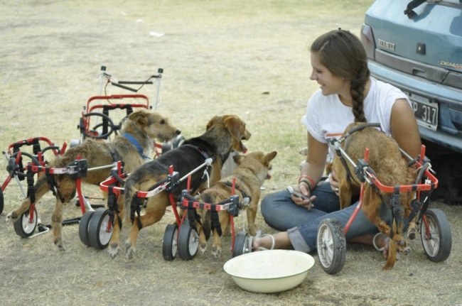 Illustration de l'article : 17 pictures that will stir your emotions