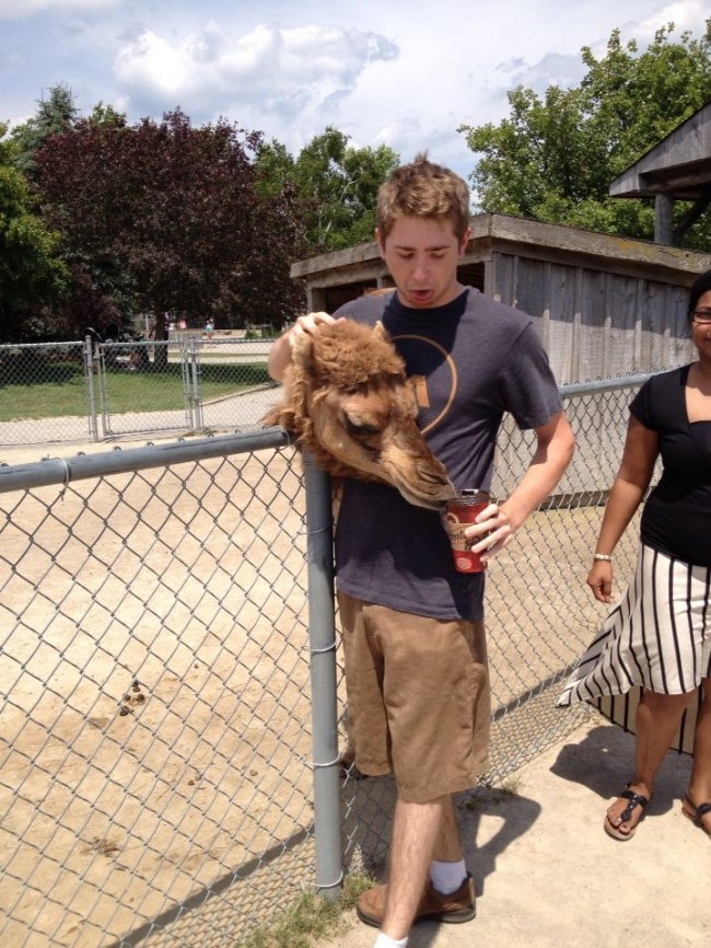 Illustration de l'article : 25 photos that prove it's all in the angle