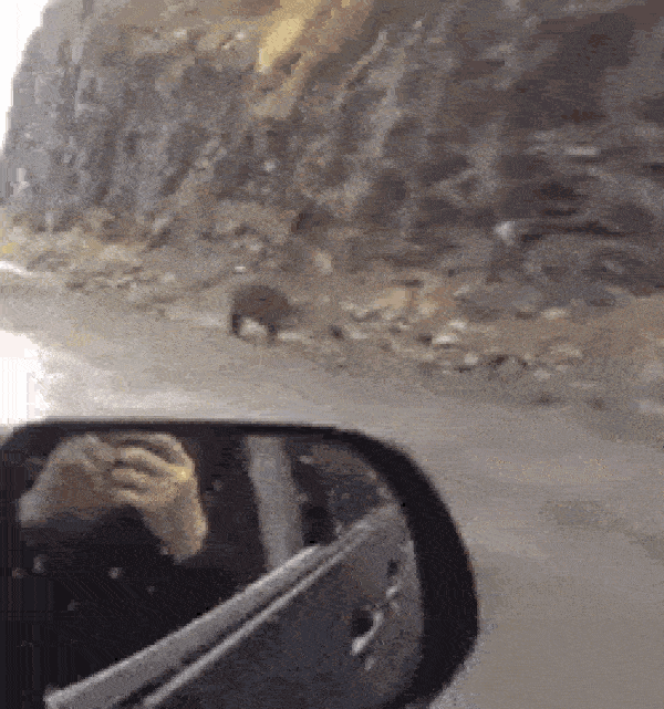 Illustration de l'article : 27 incredibly rare sights caught on camera