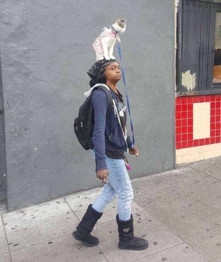 Illustration de l'article : 18 weird sights that were snapped and shared online