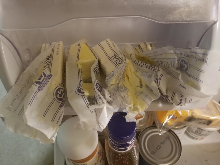 Illustration de l'article : 21 funny photos that sum up sibling relationships