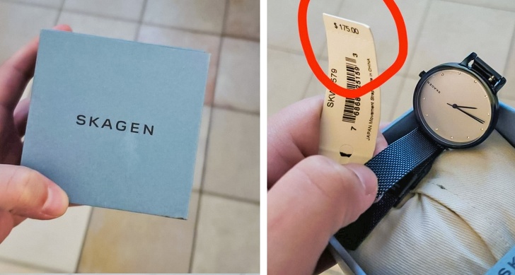 Illustration de l'article : 22 amazing finds found in trash cans and dumpsters