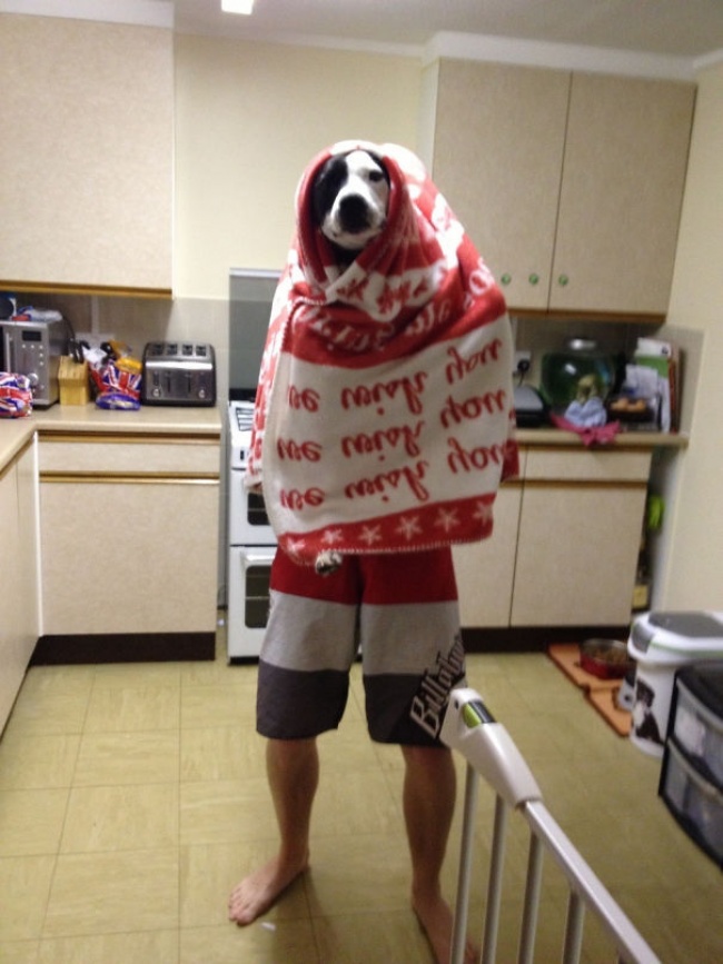 Illustration de l'article : 18 guys who are so adorable they deserve a medal