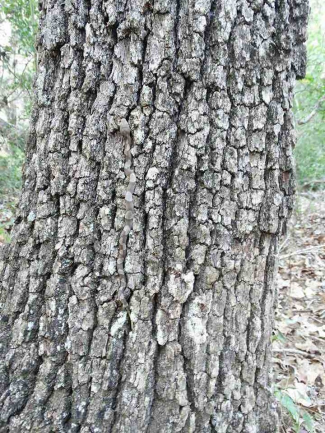 Illustration de l'article : 25 photos that prove it's all in the angle