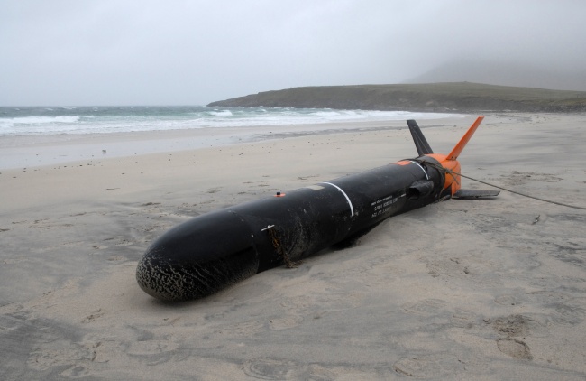 Illustration de l'article : 11 of the weirdest things to wash up on a beach