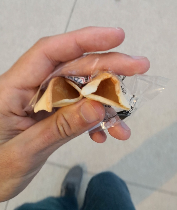 Illustration de l'article : 14 people who immortalized their terrible day