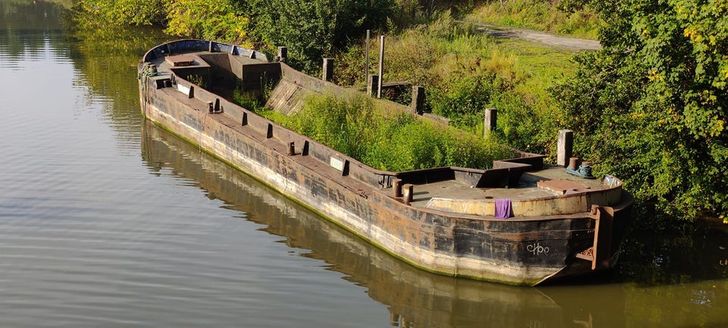 Illustration de l'article : 18 photos where nature has reclaimed its rights