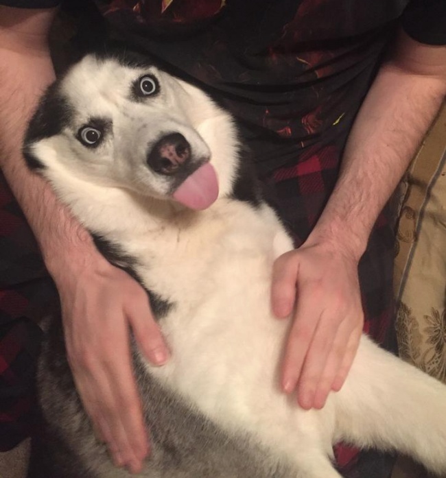 Illustration de l'article : 18 guys who are so adorable they deserve a medal