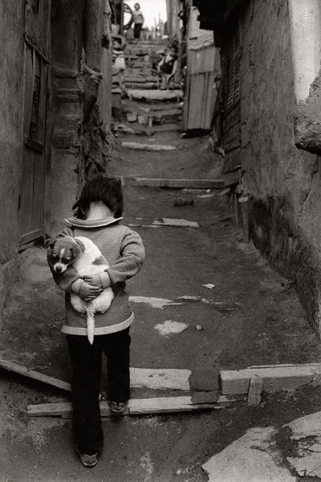 Illustration de l'article : 17 pictures that will stir your emotions