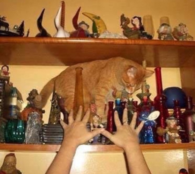 Illustration de l'article : 18 really weird and incredible sights captured on camera