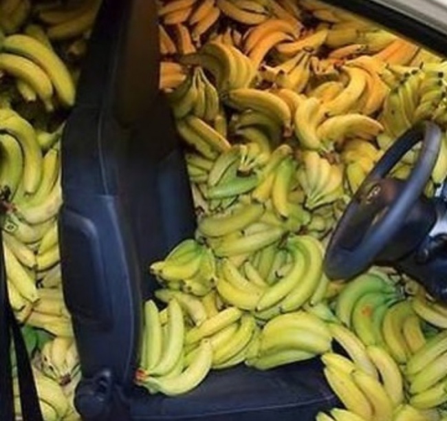 Illustration de l'article : 18 really weird and incredible sights captured on camera