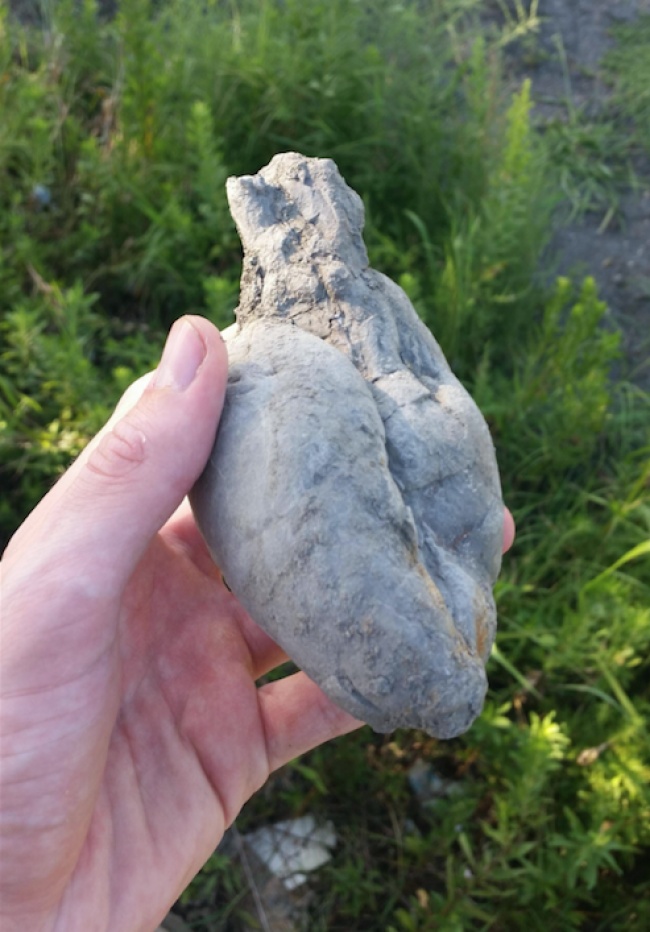 Illustration de l'article : 27 people who stumbled upon something amazing and decided to share their discovery