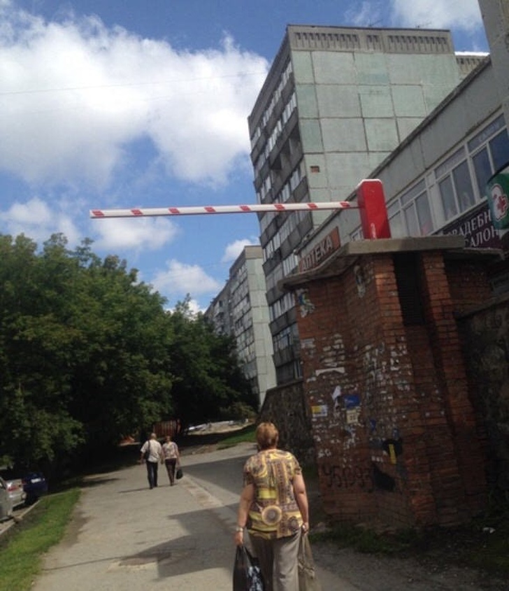 Illustration de l'article : 30 people snapped doing something completely out of the ordinary