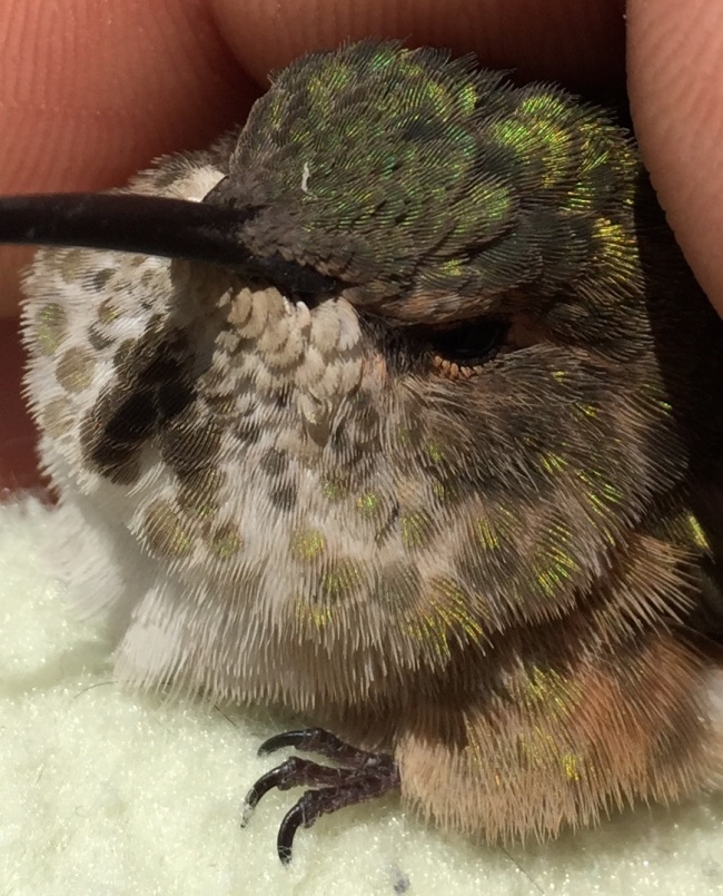 Illustration de l'article : 27 people who stumbled upon something amazing and decided to share their discovery