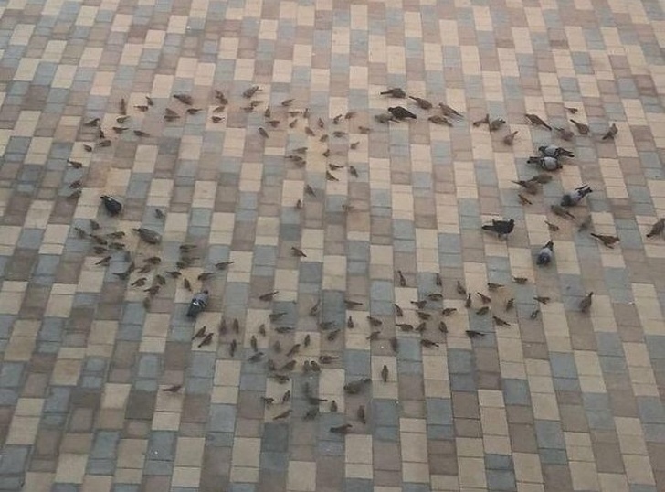 Illustration de l'article : 17 touching moments that show family love