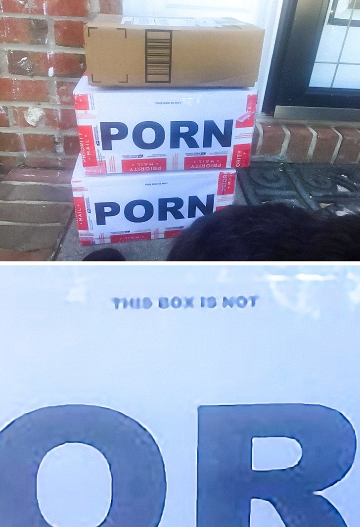 Illustration de l'article : 14 people who immortalized their terrible day