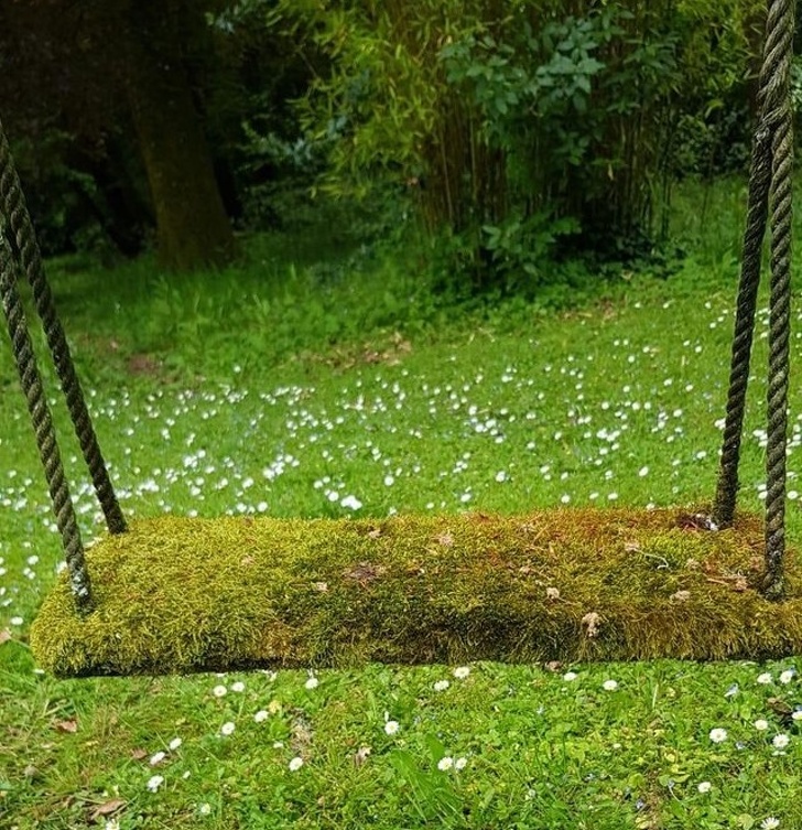 Illustration de l'article : 27 incredibly rare sights caught on camera