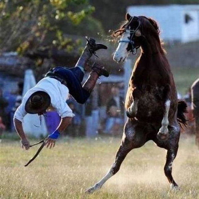 Illustration de l'article : 30 non-altered photographs taken a few seconds before an inevitable fall