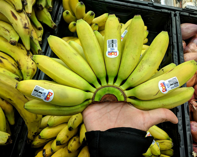 Illustration de l'article : 24 photos of unusual things spotted around the world