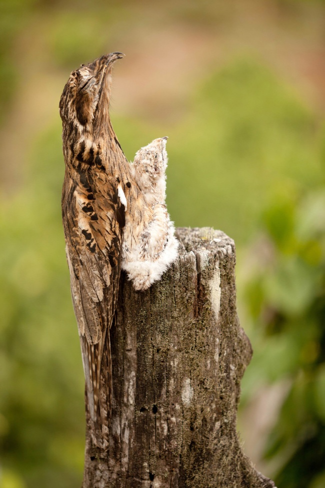 Illustration de l'article : 25 photos that prove it's all in the angle