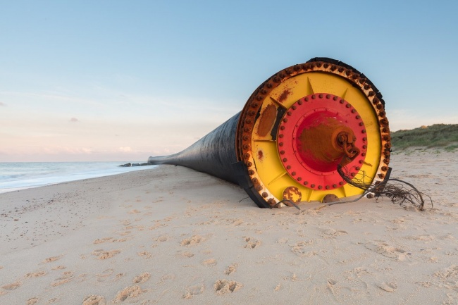 Illustration de l'article : 11 of the weirdest things to wash up on a beach