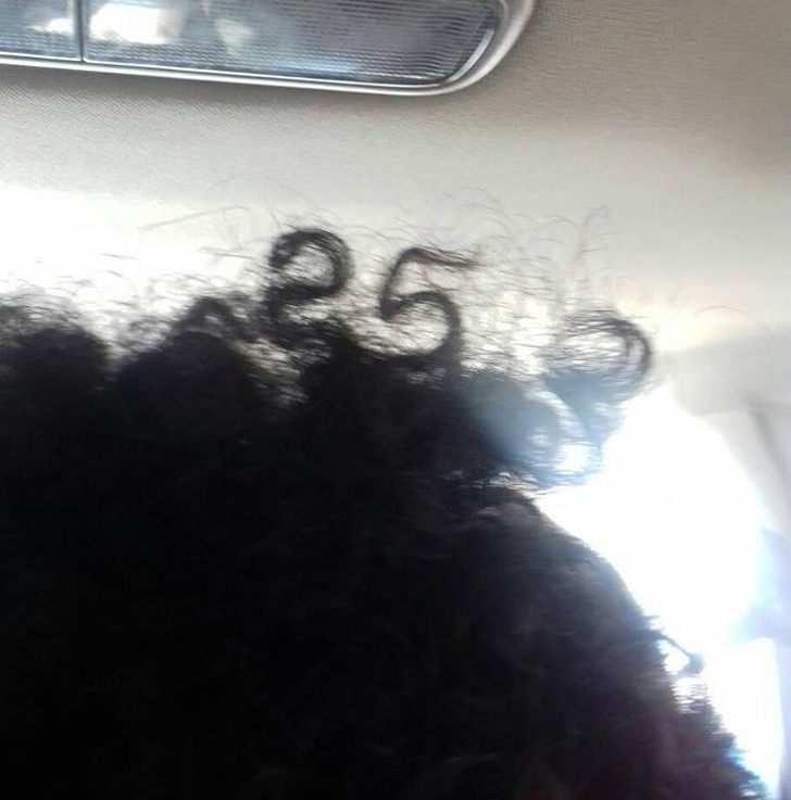 Illustration de l'article : 25 glitches that ended up producing a work of art