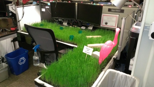 Illustration de l'article : 22 times people decided to liven up their workplace