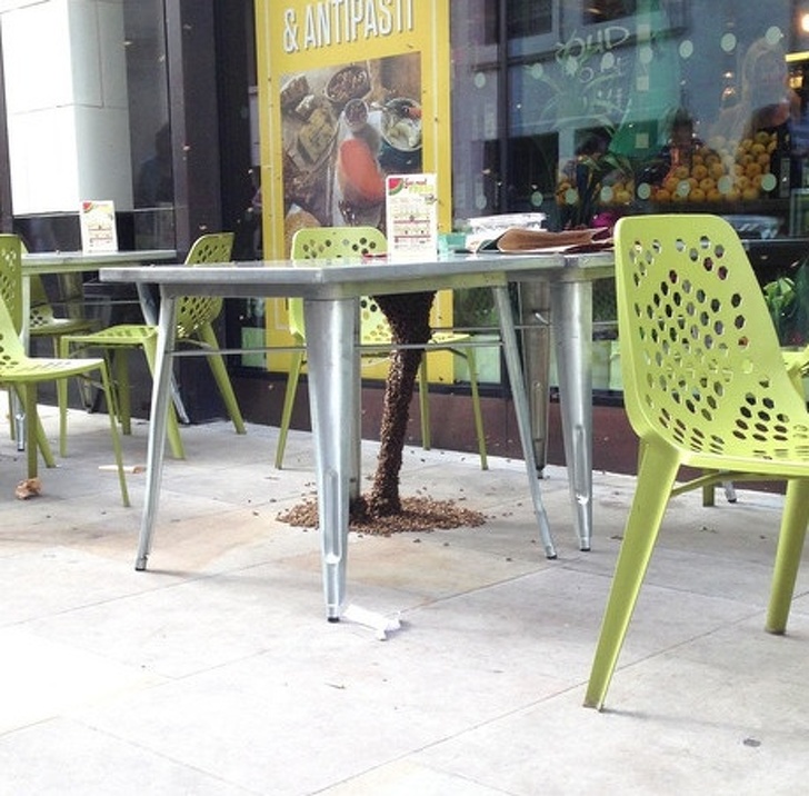 Illustration de l'article : 18 people who immortalized and shared their stomach-churning experience