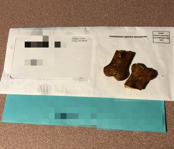 Illustration de l'article : 17 kind people who made the world a better place