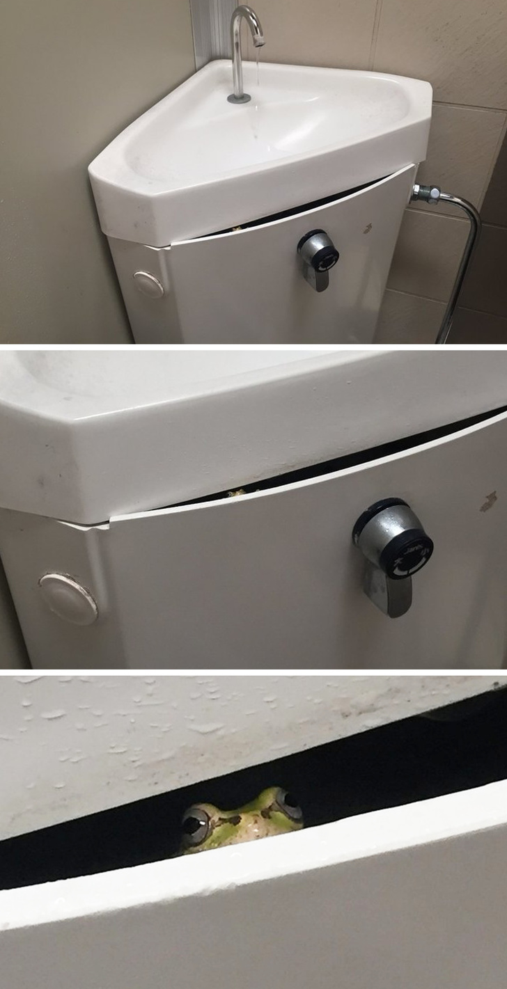 Illustration de l'article : 23 unsettling photos that require a closer look!