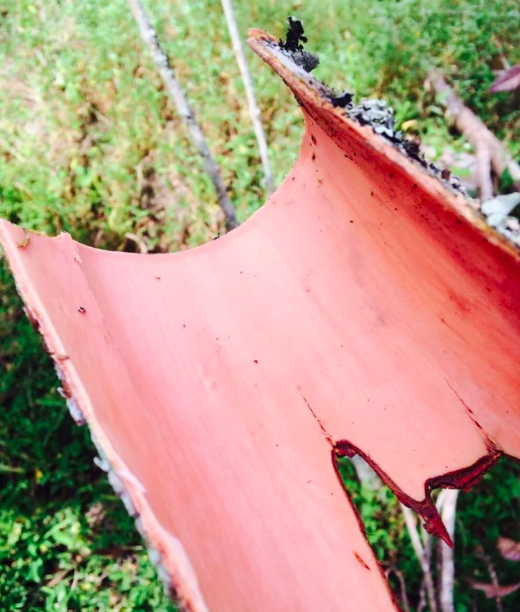 Illustration de l'article : 31 photos of everyday objects seen from a different angle