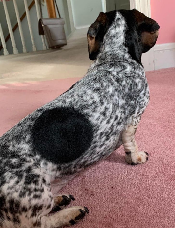 Illustration de l'article : 20 images that brush with perfection